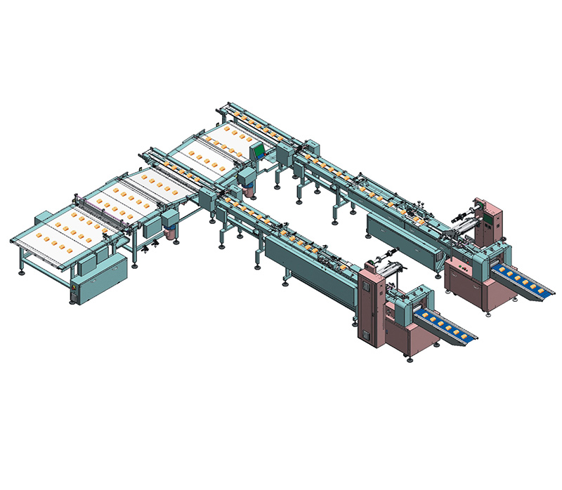 Nh-s2 Professional Customized Automatic Stick Wafer Biscuit Production Packing Line
