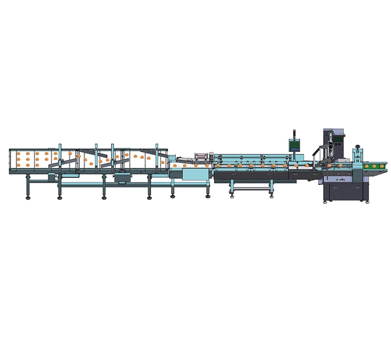 Nh-fd1 automatic material handling line