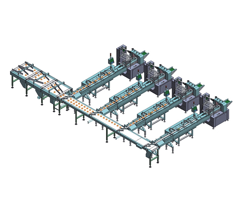 Nh-f4 automatic sorting line